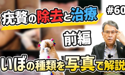 怀姜膏功效与作用-怀姜膏的功效和用法网怀姜膏的功效和用法用量知识网站,分享怀姜膏的配方有哪些大全